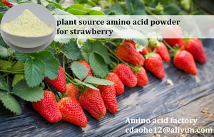 אמינו 80 אורגני אבקה הידרוליזה חומצה אנזימטית חומצות אמינו אנזימטיות לחלוטין מסיסות מים - Product Image 4