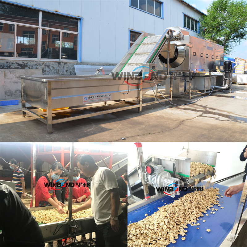 nut cleaning machine