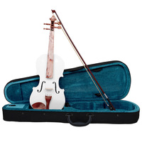 Beginner's 4/4 Violin Complete Set Varnished Finish Brazil Wood Bow ABS Accessories Violin Case Student Practice Linden Wood