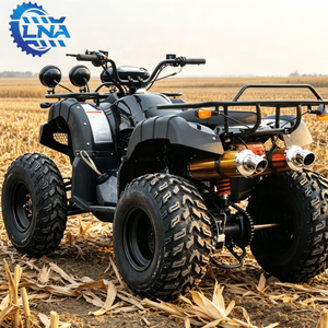 Cuatrimotos LNA a <span class=keywords><strong>Precio</strong></span> Accesible, Motor de Gasolina de 250cc, para Turismo y Negocios - Product Image 3
