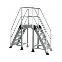 Concevez les plates-formes mobiles industrielles d'escaliers en aluminium de passage couvert