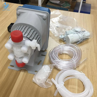 Pompe doseuse automatique à solénoïde Water Crown de haute qualité pour piscine extérieure, contrôleur de chlore et de pH, pompe doseuse de produits chimiques pour l'eau