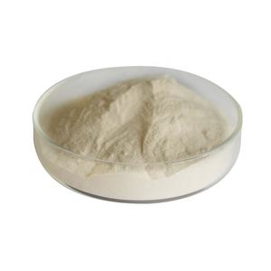 Protéine de lactosérum, 50g, poudre, Grade alimentaire, fibre de blé, isolation, haute qualité - Product Image 1