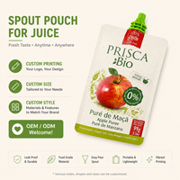 Pochette à bec verseur anti-fuite |   Sac à fond plat personnalisé imprimé |   pour les boissons aux jus et aux gelées |   Solution d'emballage liquide OEM