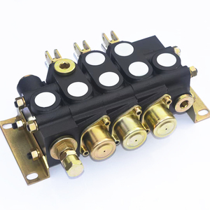 Offres Spéciales – Série ZS (ZS1-ZS5) – Distributeur Hydraulique Manuel Multivoies à Membrane en Laiton – Contrôle de Direction Sectionnel – Huile – OEM Disponible - Product Image 1