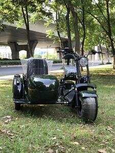 Tricycle électrique de haute qualité, <span class=keywords><strong>vélo</strong></span> électrique à pédales avec side-car, moto électrique pour adultes - Product Image 4