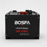 Baterai Forklift Lithium 48V 51.2V 320Ah LiFePO4 untuk Forklift Listrik