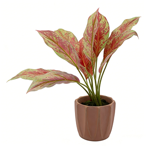 Nouvelle plante artificielle Aglaonema en pot de ciment, fausse reine rouge argentée, plante chinoise à feuilles persistantes pour coin intérieur - Product Image 6