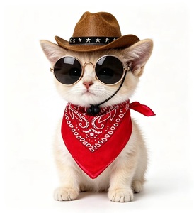 Casquette pour chien avec cordon, style cowboy, casquette en jean pour chiens, accessoires pour animaux de compagnie, casquette personnalisable avec logo, cordon étoile, perles, OEM - Product Image 6