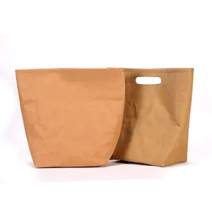 China Lieferant wieder verwendbare Kraft papier Kühltasche/Outdoor Camping isolierte Lunch Bag/Custom wasserdichte Kraft Eis kühler Tasche