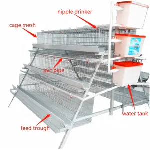 QIANQIN A type galvanized chicken cages for laying hen poultry cage Chicken Layer Cage Used In Poultry Farm