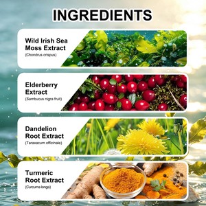 Gummies Premium 16-en-1 Complexes de Mousse de Mer Irlandaise Saveur Pomme, Complément Alimentaire, 30 Pièces, Matières Premières Végétales Naturelles, Adulte - Product Image 3