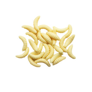 Señuelos de Pesca blandos, cebo de plástico, gusano, pan, 0,3g, 2cm - Product Image 4