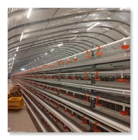 Équipement agricole cages pour animaux 6 couches cage de ponte de caille/200-300 pièces cage