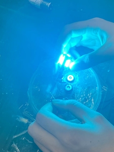 Chất Lượng Cao LED Bóng Đèn Mô Hình 1156 1157 Duy Nhất Màu Kép Trong Trắng Đỏ Hổ Phách Màu Xanh Lá Cây Màu Xanh Tím Băng Màu Xanh Và Băng Màu Xanh Lá Cây - Product Image 5