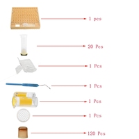 Komplettes Bee Queen Aufzucht becher Kit System Imkerei Catcher Box Catcher Käfig Bienen Werkzeuge Imkerei Box Set Produktive Zellen