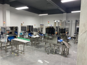 Machine d'inspection industrielle aux rayons X |   Détecteur d'objets étrangers à rayon unique |   Testeur personnalisable de métaux et de contaminants pour les aliments - Product Image 2
