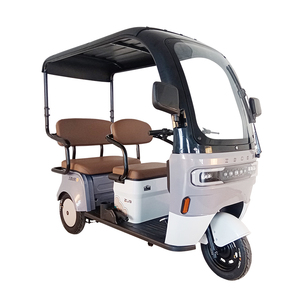 <span class=keywords><strong>Europa</strong></span> Alemania Australia <span class=keywords><strong>3</strong></span> ruedas 650W triciclo eléctrico superpotente para adultos 1 pieza con techo - Product Image 4