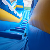 Toboggan gonflable à thème tête de requin 3D, double piste, pour fêtes d'été en extérieur pour enfants, en PVC avec souffleur