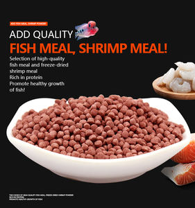 Top Hoge Kwaliteit Feed <span class=keywords><strong>Flowerhorn</strong></span> Voedsel Vis Voedt Aquarium Visvoer - Product Image 5