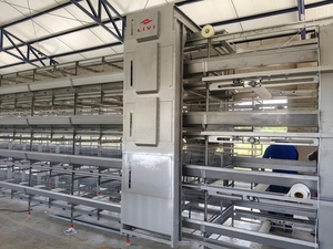 Jaulas para Pollos Tipo H, 50000 Unidades, Sistema Automático <span class=keywords><strong>de</strong></span> Cría <span class=keywords><strong>de</strong></span> Aves <span class=keywords><strong>de</strong></span> Corral y Recolección <span class=keywords><strong>de</strong></span> <span class=keywords><strong>Huevos</strong></span> - Product Image 4