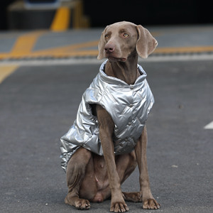 Gilet invernale in argento per Labrador/Golden Retriever/Border Collie/Weimaraner Dog-abbigliamento caldo per <span class=keywords><strong>cani</strong></span> - Product Image 5