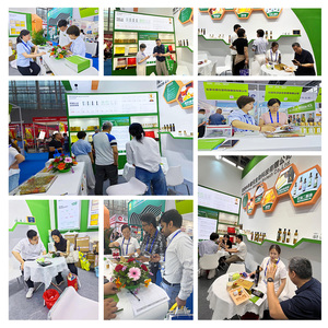 Olio di Semi di Zucca Pressato a Freddo Purezza 99,99% Grado Alimentare Confezione all'Ingrosso per Cucina - Product Image 5