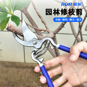 RUR Pruning Shears 8 10 Inch High Carbon Steel Bypass Manual Garden Tool For Fruit Tree Flower Branch Cutting - Product Image 5