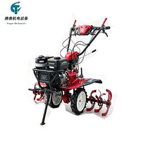 TENGAO Prix de gros 173 motoculteur diesel rotatif 180 °   Motoculteur agricole à poignée réversible, mini-cultivateur haute puissance