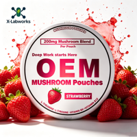 Pochettes Énergétiques Nootropiques à la Vitamine C, Poudre Lyophilisée Sauvage de Champignons Crinière de Lion et Reishi, Extrait Végétal Apaisant et Relaxant, Sans Sucre