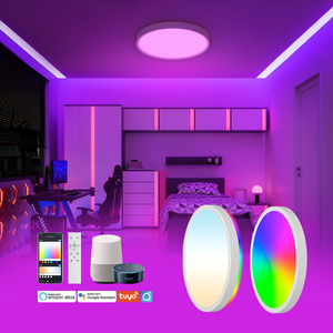 12Inch 24W Thông Minh Đèn Tuya Ứng Dụng Điều Khiển LED Trần Đèn <span class=keywords><strong>Flush</strong></span> Núi Trần Ánh Sáng LED Trần Ánh Sáng Cho Phòng Khách - Product Image 6