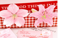 Bloc de Notas Autoadhesivo para Oficina, Diseño Floral Rosa Kawaii, Popular y Bonito para Chicas, Hecho en China, Modelo Dk377