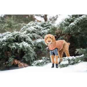 เสื้อพาร์กาสำหรับคนเมือง - สีคาราเมล - Product Image 4