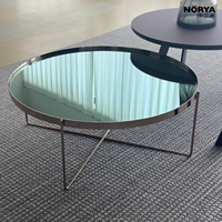 NORYA Tables basses modernes de luxe portables avec plateau miroir, tables d'appoint rondes, pieds en métal doré, meubles de salon écologiques