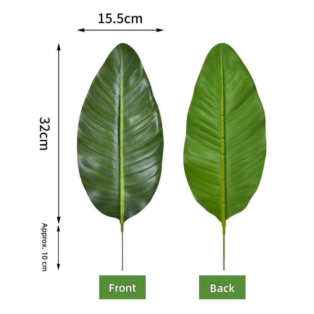 Plátano viajero oscuro-[hoja extra pequeña]]