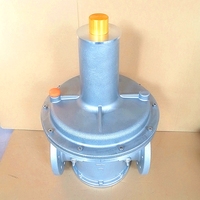 Soupapes réductrices de pression de gaz de 4 pouces pour brûleur de chaudière, usine de production d'équipements de combustion dans le Canton en chine