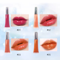 Gloss à lèvres volumateur personnalisé à étiquette privée, imperméable, sexy, gloss à lèvres extrême, volumateur de lèvres