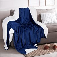 Couverture imperméable en velours pour adultes Four Seasons Fleeced Thick Plush Raschel Caractéristiques Custom Double Size