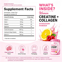 Poudres d'électrolytes et de vitamines en sachets OEM – Bâtonnets de poudre d'électrolytes – Supplément d'électrolytes pour une meilleure hydratation et des soins de santé