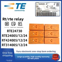 Tyco TE RT424012 RT424024 RTE24012 RTE24024 RT314012 RT314024 RTE24730 RT314730 RT424730 Relais de puissance