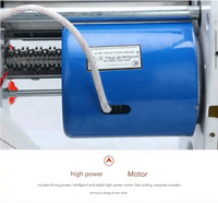 Machine à pâtes électrique multifonctionnelle en acier inoxydable pour la maison, 220V 110V