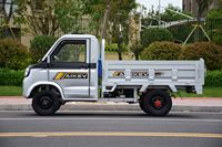 Mini camion cargo à 2 portes, prix bas en Chine, moteur 2000W, véhicule utilitaire, vitesse maximale de 50 km/h, autonomie de 100-120 km