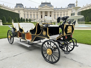 Charrette touristique électrique vintage <span class=keywords><strong>de</strong></span> luxe à 4 roues, stable, pour le transport <span class=keywords><strong>de</strong></span> passagers - Product Image 2