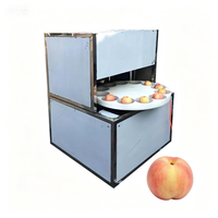 Automatische perzikontpitter met 1,5 kW motor voor het verwijderen en scheiden van de pit van fruit en pruimen