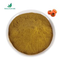 Vente en gros de poudre d'extrait de kaki en vrac naturel pur Poudre de fruit de kaki Poudre de feuille de kaki