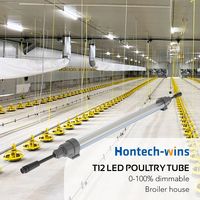 Lampes LED pour volailles, poulets de chair et reproducteurs, 2700K-5000K, lumières bleues, rouges et chaudes, dimmables, IP67, sans scintillement