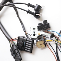 Adaptor Kabel Tembaga Berlapis Timah 2-Pin Shanyou Electronic dengan Selubung Isolasi PVC, Panjang 1 Meter, Tegangan 12V, IP44 untuk Mobil
