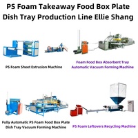 Machine à fabriquer des boîtes alimentaires en mousse PS Haiyuan, machine à fabriquer des assiettes en mousse jetables, ligne de production de plateaux absorbants en polystyrène