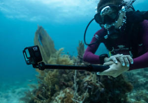 Original Go Pro HERO 13 Black Sports <b>Camera</b> 5.3K HDR Video 27MP Photos 1/1.9 Image Sensor Sports <b>Camera</b> - Product Image 4