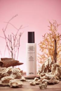 Hidratante Facial con Extracto de Raíz de Ginseng Panax, Hidratante con Ginsenoside - Product Image 4